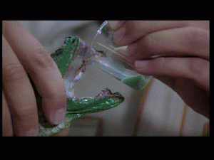 doc0247.gif